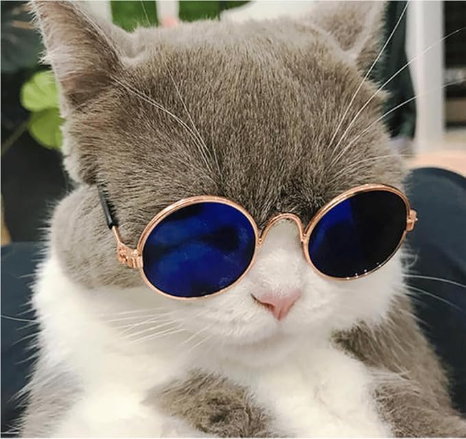 8 Pieces Pets Dog Cat Bowtie Pet Sunglasses Pet Costume Adjustable Formal - Image 7