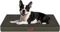 Plush Orthopedic Dog Bed for Medium Dogs & Puppies, Waterproof Dog Beds 29x18 by TailStories