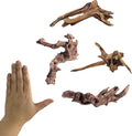 Small Natural Driftwood for Aquarium Styling Carefully Selected Natural by YZHZOM