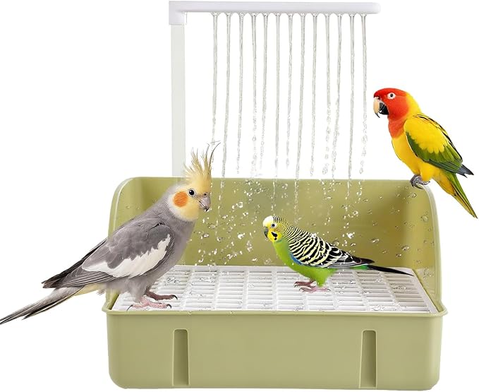 Bird Bath, Automatic Parrot Shower Bath by Unknown