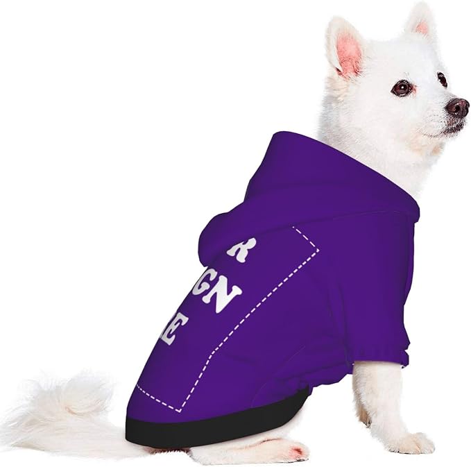 Dog Costume, Custom Dog Hoodie, Dog Name Costume Holiday Pet Pajamas Outfit - Image 2