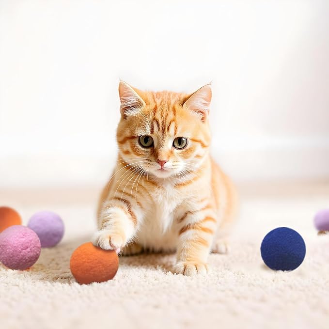 Cat Toys for Indoor Cats, Cat Toys Balls, 20 Packs Interactive Cat Toy Set - Image 6