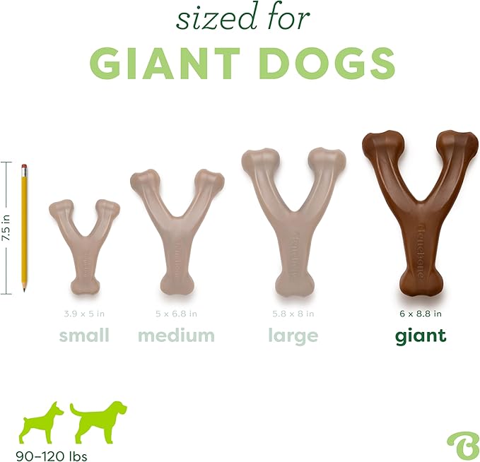 Benebone Wishbone Durable Dog Chew Toy - Image 4