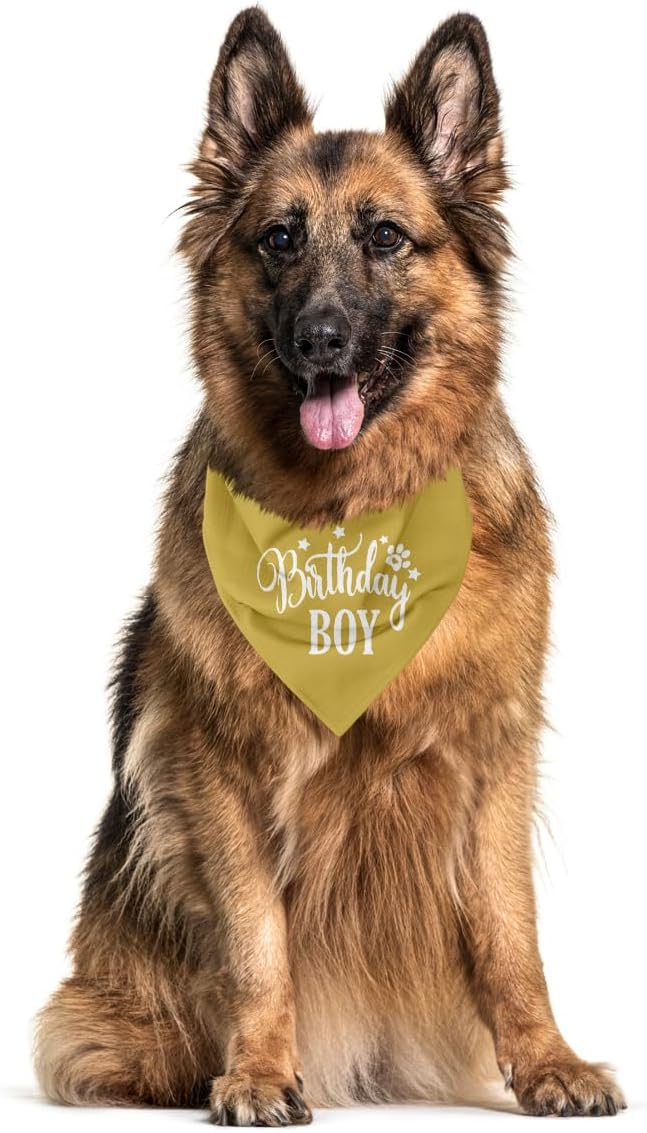 Birthday Boy Dog Bandanas, Dog Birthday Bandana, Birthday Bandana - Image 3