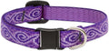 LupinePet Originals 1/2" Jelly Roll Cat Safety Collar by Lupine