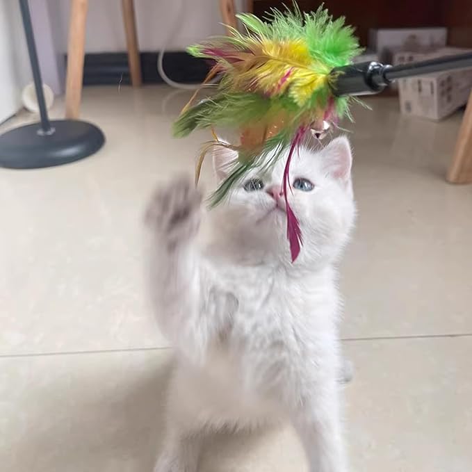 Cat Wand, All Breed Sizes - Image 6