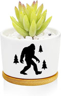 Window Garden Bigfoot Planter Pots, Bigfoot Gifts by Databa