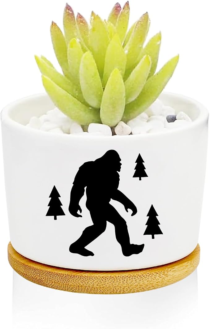 Window Garden Bigfoot Planter Pots, Bigfoot Gifts by Databa