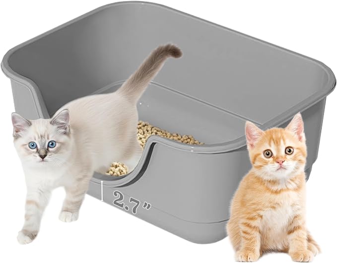 Low Entry Small Litter Box for Kittens, Kitty Plastic Litter Boxes, Open Top by Unknown