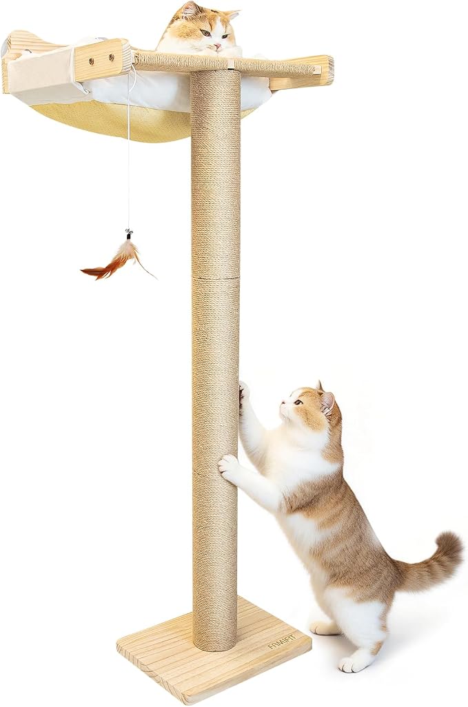 Cat Window Perch with Scratching Post, Bird Watching, Supports 45 lbs by Famifit