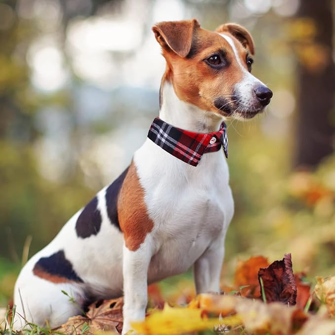 Faleela Cotton Plaid Shirt Style Dog Collar Soft Cute, Boy Dog Collar - Image 4