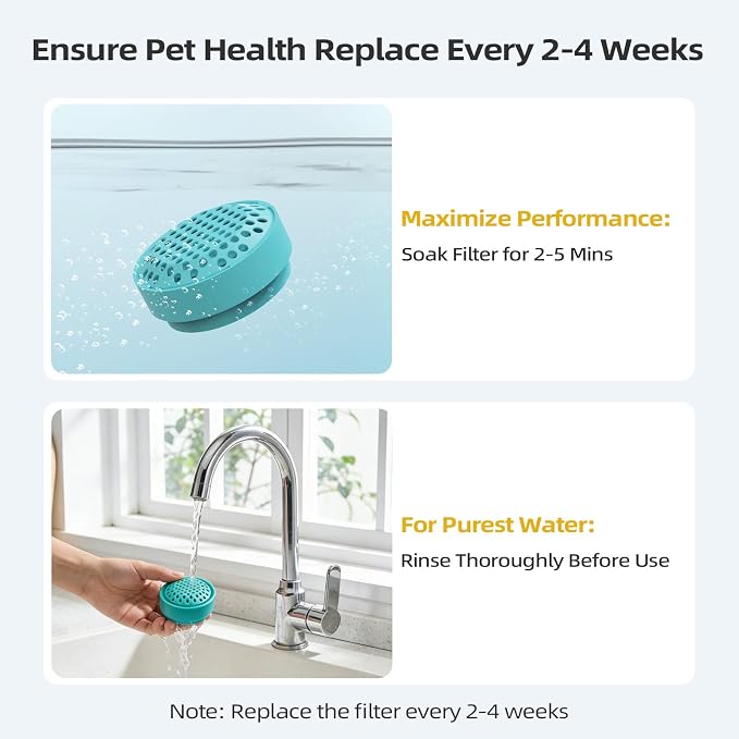 Glass Cat and Dog Water Fountain 90oz/2.7L, Compatible - Image 4