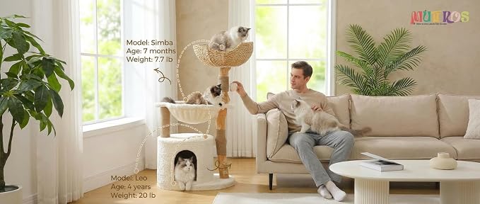 Modern Cat Tree for Large Cats, Wood Cat Tower for Indoor Cats, Real Branch - Image 2