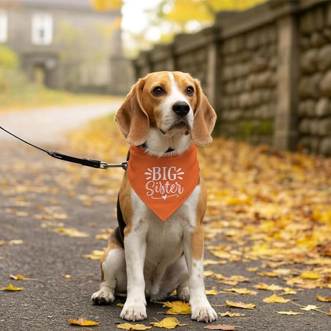 Big Sister Dog Bandana, Big Sister Bandana - Image 5