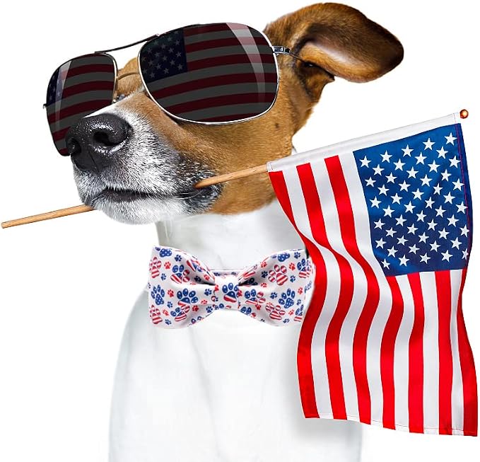 Lionheart American Flag Dog Collar - Image 6