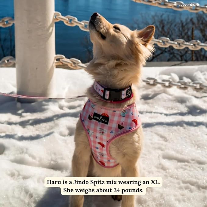 Lucy & Co. Sipping Slowly Reversible Dog Harness, Adjustable Comfort Fit - Image 6