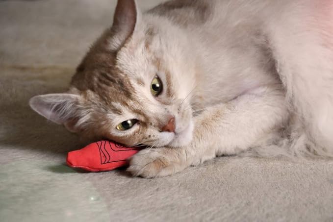 YEOWWW! Catnip Crayon - Image 4