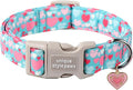 Unique style paws Valentine's Day Dog Collar Plastic Buckle Collar by Uniquestylepaws