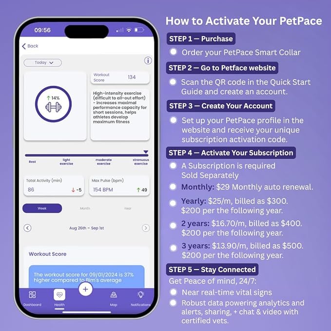 NEW Dog Health Monitor V3.0 by PetPace – AI Smart Collar - Image 2