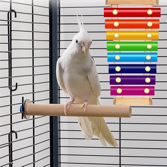 Colorful Bird Xylophone Toy Interactive Training Toy Bird Cage Bell Toy - Image 6