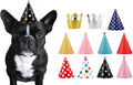CBM Dog Party Hat Set by Unknown