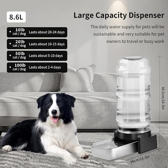 Marchul 2.3 Gallon Dog Water Dispenser, Large Dog Water Dispenser - Image 2