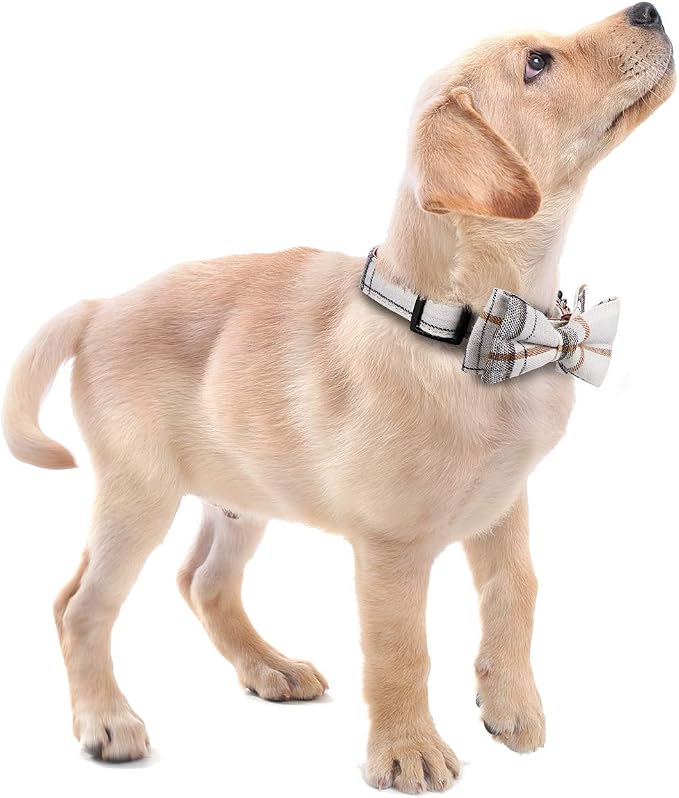 Faleela Soft &Comfy Bowtie Dog Collar, Detachable and Adjustable Bow Tie Collar - Image 6