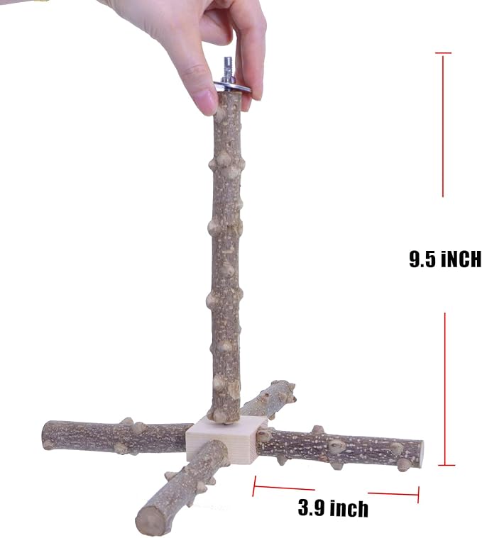 Bird Perch Stand Toy, Interactive Spinning Bird Toys, Wooden Parrot Perch - Image 3