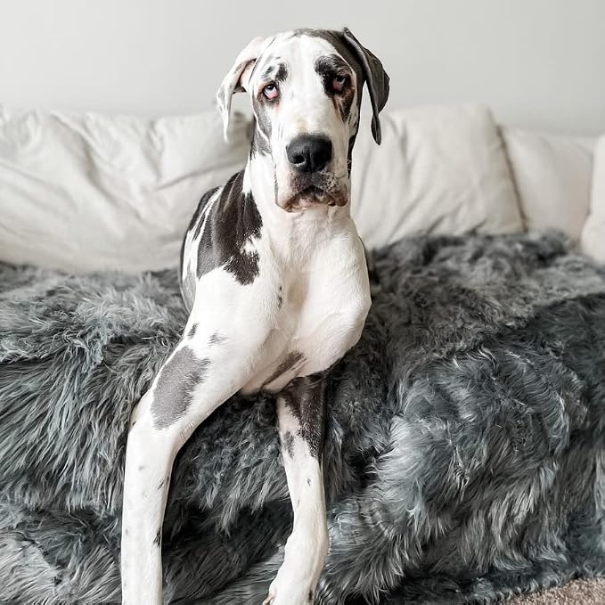 PupProtector Waterproof Throw Blanket - Image 5