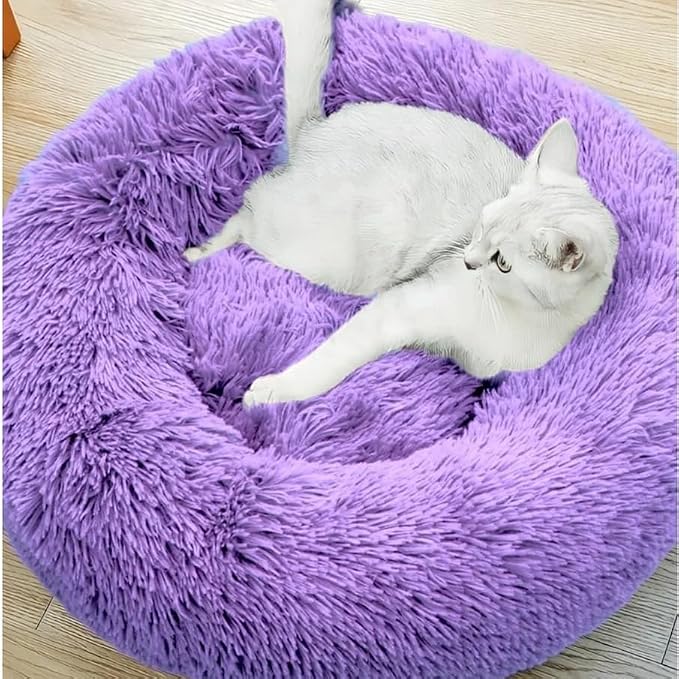 Purrfect Cat Beds - Image 2