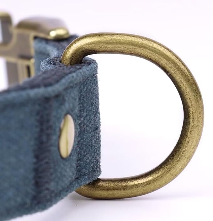PET ARTIST Dog Collar for Large Dogs, Soft Padded Premium Nylon Dog Collar - Image 8
