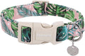 DOGWONG Cotton Dog Collar, Heavy-Duty Dog Collar Durable Soft Boy Dog Collar by DOGWONG