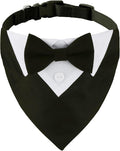 ADOGGYGO Formal Dog Tuxedo, Wedding Dog Collar by ADOGGYGO