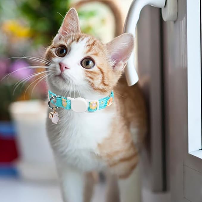 Unique style paws 2 Pack Kitten Collar Breakaway - Image 5