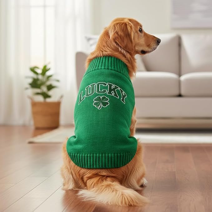 Personalized Dog Sweater, Custom Knit Sweater - Image 3