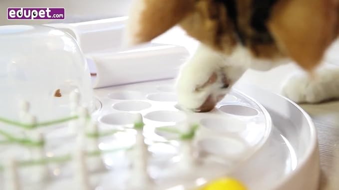 Cat-Center - 7-in-1 Pet Activity Center, Cat Toy Game, Educate & Entertain Your - Image 7