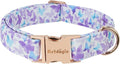Elegant Butterfly Dog Collar, Adjustable Comfortable by Unknown