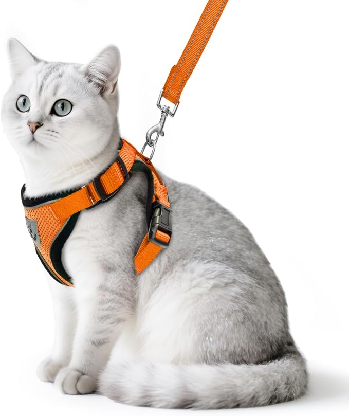 PUPTECK Cat Harness and Leash Set Escape Proof Reflective Cat Walking Harness by PUPTECK