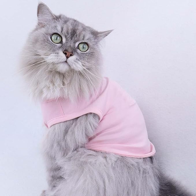 Custom Dog Birthday Shirt, Personalized Pet Apparel Print - Image 3