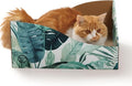 Hideaway Cat Scratcher Box for Indoor Cats by %E7%8C%AB%E5%A3%B1