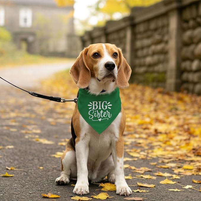 Big Sister Dog Bandana, 25 x 17 Inches, Comfortable, Water Resistant, Geometric - Image 5