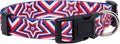 Native Pup American Flag Dog Collar- Red White and Blue- Patriotic Collars by NativePup