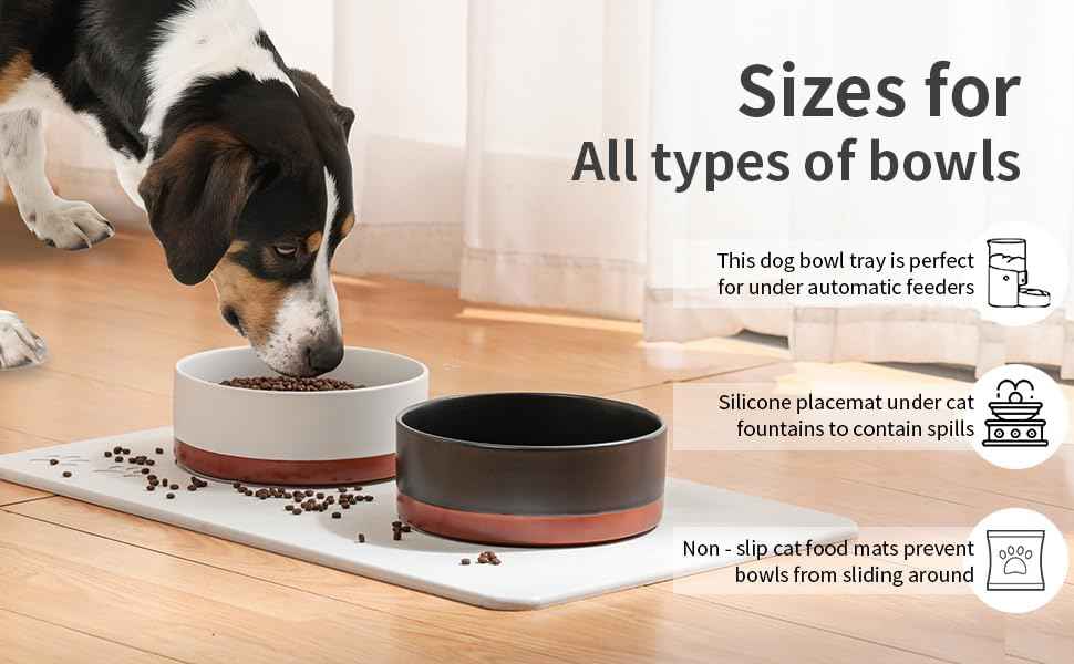Diatomite Stone Pet Feeding Mat for Dog Cat Super Absorbent Diatomite