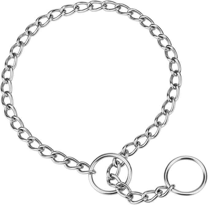 TagME Chain Choke Collar for Dogs, Adjustable Weather Proof Necklace for Small by TagME