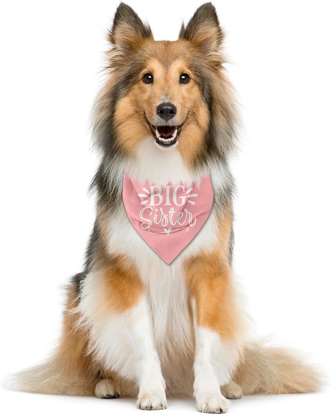 Big Sister Dog Bandana, Pet Triangle Scarf - Image 2