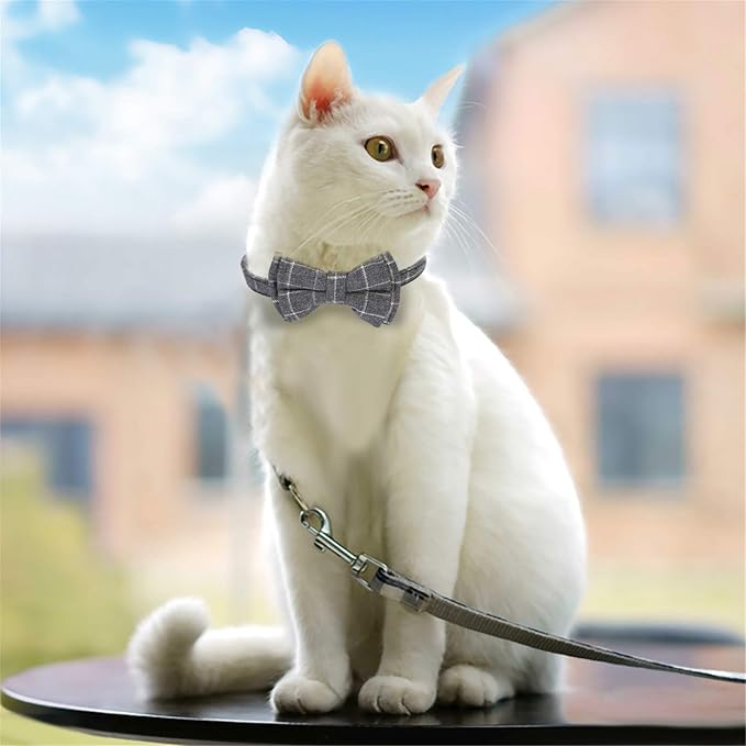 SLSON 2 Pack Breakaway Cat Collar - Image 2