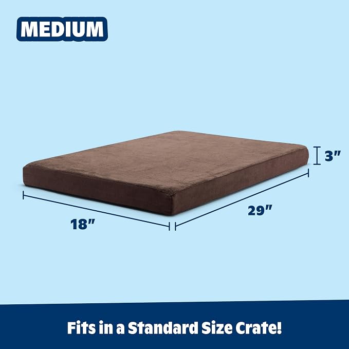 Barkbox Orthopedic Dog Bed - Image 3