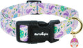 Easter Dog Collar, Spring Easter Egg Print Dog Collar by Unknown