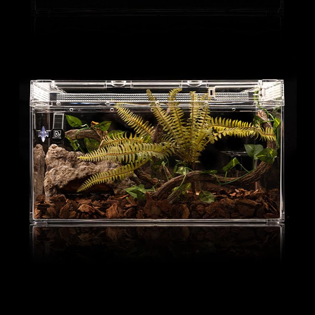 Medium Bearded Dragon Reptile Hide Cave - GlobalHabitat Supply