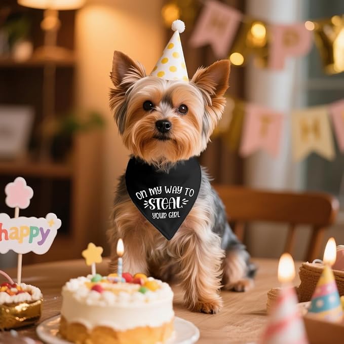 On My Way to Steal Your Girl Black Dog Bandana, Funny Pet Scarf Accessories - Image 4